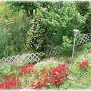 파인트리펜션 이미지