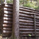 가리산자연휴양림 이미지