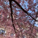 동보렉스아파트 이미지