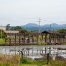 남생이못 습지생태 관찰원 이미지