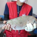 낚고락고 이미지