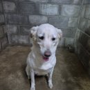 군산시-01224 이미지