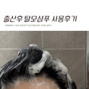 출산후 탈모샴푸 유목민의 정착템, 몽쉘베베 스칼프샴푸 한달사용후기