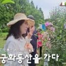 평화의동산 이미지