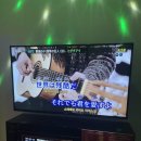 혜영팜 네이버블로그