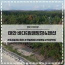 녹색드림협동조합 | 태안 바다드림캠핑장 펜션 마검포해수욕장 갯벌체험 해루질까지