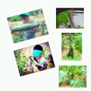 지민이네 농장 이미지