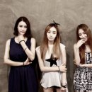 옐로우엠 이미지