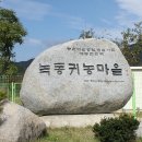 [3월 집중공부 공지] 참가여부 알려주세요 ^ 이미지