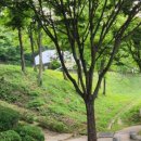 구미공원(야외공연장 앞) 네이버블로그