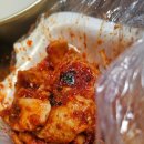 통영아지매가만드는회랑물회랑