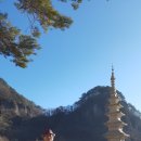 늘ㆍ다 Daum카페