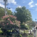 산과구름아래 | 경남 창녕 화왕산 카페 대추차 맛집 산과 구름아래 n번째 방문후기