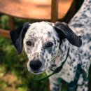 파주24시동물병원 이미지