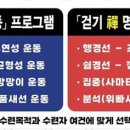 태권도 골든로드 이미지
