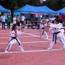 경희TSJ 태권스쿨 이미지