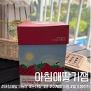 논산농장 | 논산 아침애딸기농장 딸기잼 후기, 과육 가득 건강한 딸기잼 선물 추천