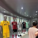 pet58고2414 | 링티와 함께하는 K리그 직관일기 - FC서울