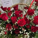 레플레르 이미지