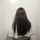 살롱드푸즈 이미지
