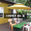 산당화가 피는집 이미지