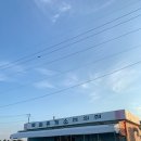 제주목화 이미지