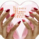 열매달 Daum카페
