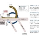 아모르컨벤션웨딩주