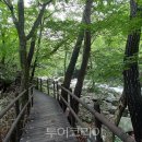 안성면 행정복지센터 이미지