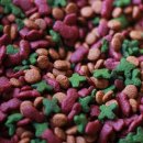 오룡 동물병원 이미지