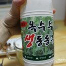 화삼유통 | 화삼 옥수수 생동동주 마셔본 후기 / 강원도동동주