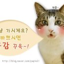 김종만베이커리 이미지