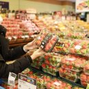 산지뚝심 이미지