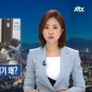 달빛청과