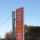 선일농장 이미지