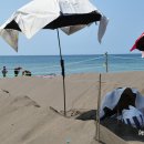 삼양해수욕장 이미지