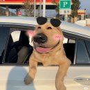 카페룰루랄라 이미지