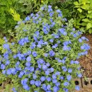 행주농장 이미지