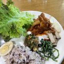 김순옥농장 | [청촌맛여행]혼자 떠난 담양 청촌맛여행 참여후기🌳🌱🌾