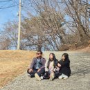 다다투어 in 여수