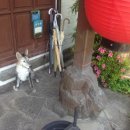 진고마을 이미지