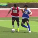 예쁜댕 이미지
