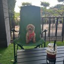 과림 낚시터 | 과림저수길 감성 핫플레이스 카페 쇼어 shore 방문 후기🌳