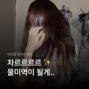 세리헤어(SERRY HAIR) | 용산해링턴 아이디헤어 세리실장님 - 바이카르테케어 후기 | 손상모발 단백질 케어