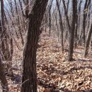 창촌민박 이미지