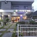 버섯명가자연밥상 | 문경 온천 맛집 자연밥상에서 즐긴 자연산버섯전골과 족살찌개 후기