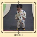파주 운정 유아키즈카페 점핑스파이더 두돌 아기 트램폴린 방방 러버됨