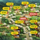 지리산숲속수목가옥 이미지