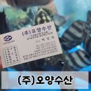 유명회수산 | 수원 농수산물시장 회 맛집 (주)오양수산 회 포장 후기 🐟