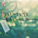 드림트리 이미지